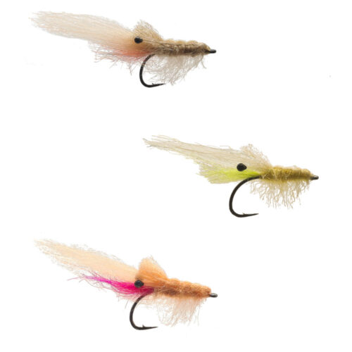 STF-Shrimp