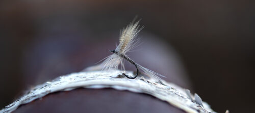 Ahrex FW502 - Dry Fly Light – Bild 2