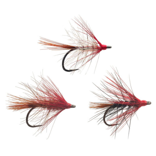 UV Autumn Fly