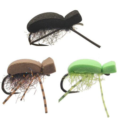 Foam Beetle