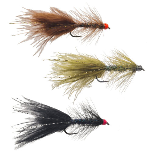 Woolly Bugger