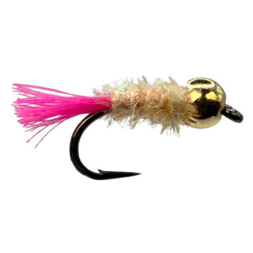 Pink Butt Goldkopfnympe