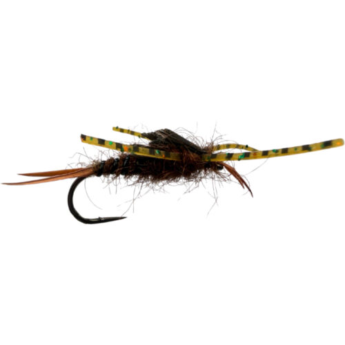 Rubber Leg Stonefly