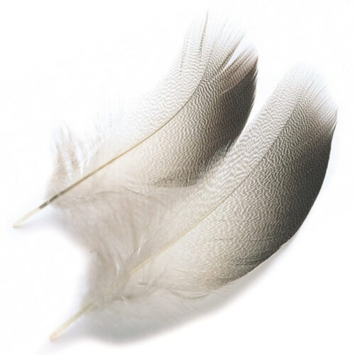 Veniard Mallard Duck bronze shoulders selected